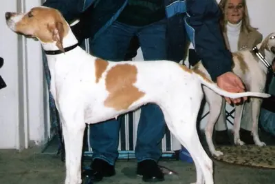 A Pointer